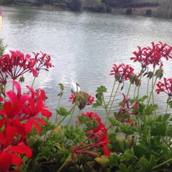 Il Lago