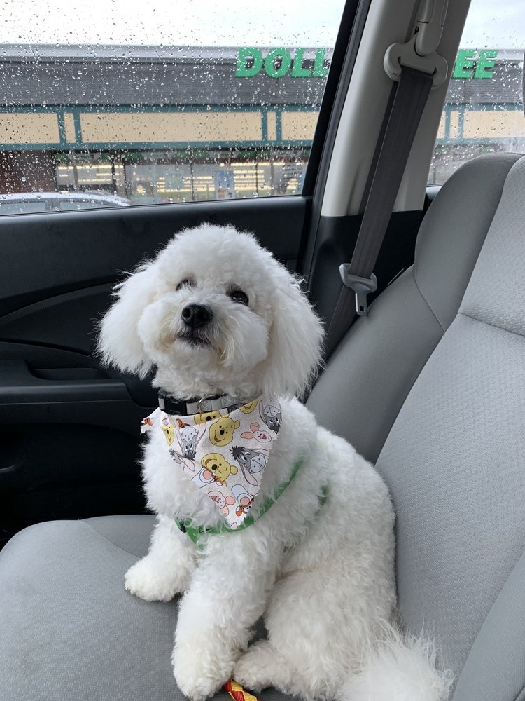 EAST BAY KENNELS Updated September 2024 11 Photos & 12 Reviews 47