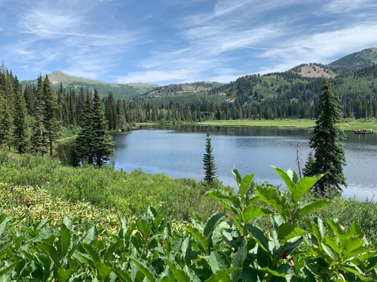Big Cottonwood Canyon by null