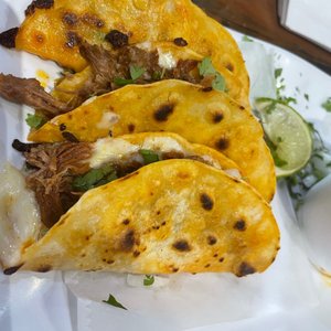 TACOS EL BIGOTES - 226 Photos & 175 Reviews - Tacos - 8400 S Gessner Rd
