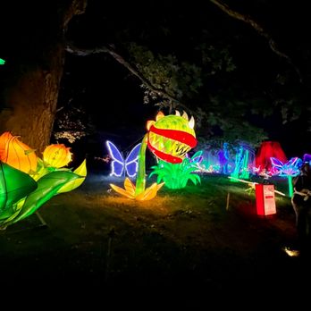 China Lights Wisconsin - Festivals Near Me - Hales Corners, Wisconsin China Lights Wisconsin - Festivals Near Me - Hales Corners, Wisconsin