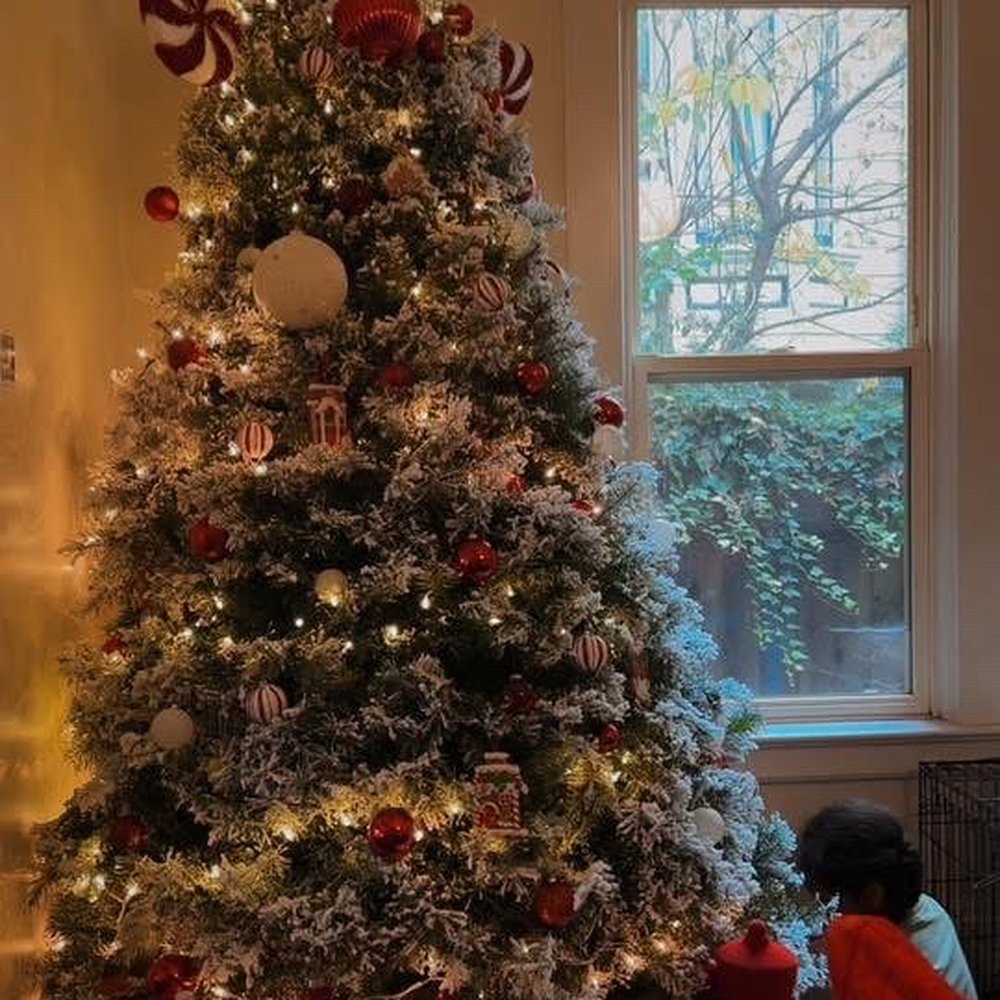 THE BEST 10 CHRISTMAS TREES in SOLANO COUNTY, CA - Updated 2026 - Hours -  Yelp