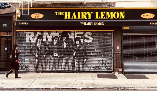 The Hairy Lemon by null