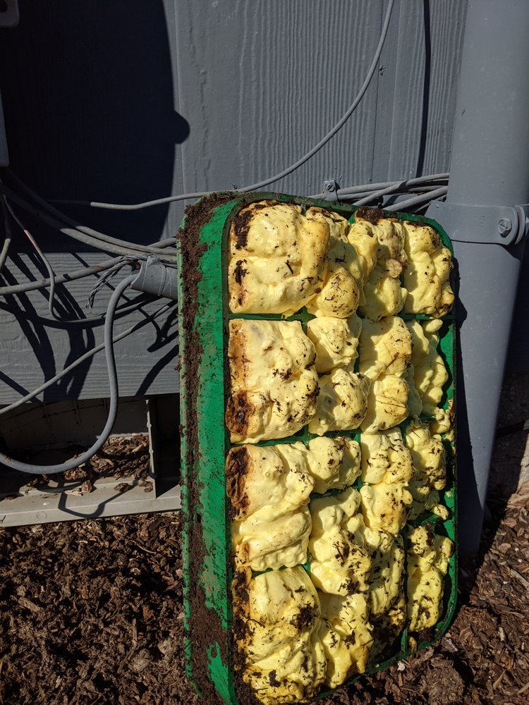 Slide of Northwest Backflow Inspection and Testing Services