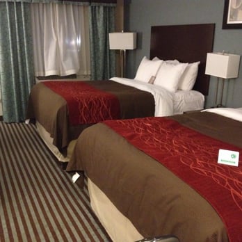 Quality Inn - beds are super high and cushy. - Hotels Near Me - Corning, New York