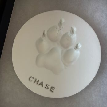 CASE Animal Hospital - Emergency Pet Hospital Near Me - Anaheim, California CASE Animal Hospital - Emergency Pet Hospital Near Me - Anaheim, California
