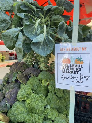 Bellevue Farmers Market by null