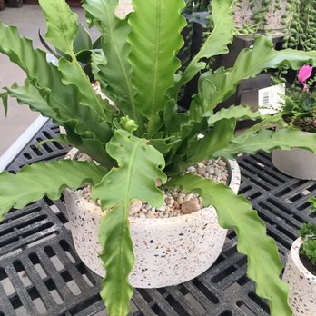 Sun River Gardens - Gorgeous - Nurseries & Gardening Near Me - Orem, Utah