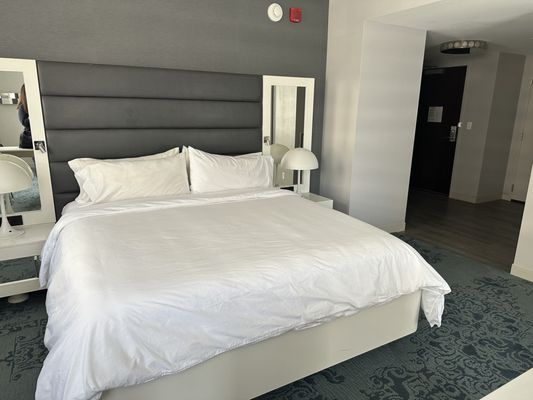 Renaissance Albany Hotel by null