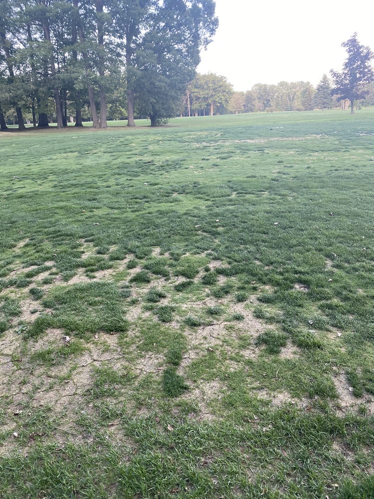 OAK RIDGE GOLF COURSE Updated August 2024 18 Photos 19 Reviews