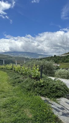 Quinta do Vallado by null