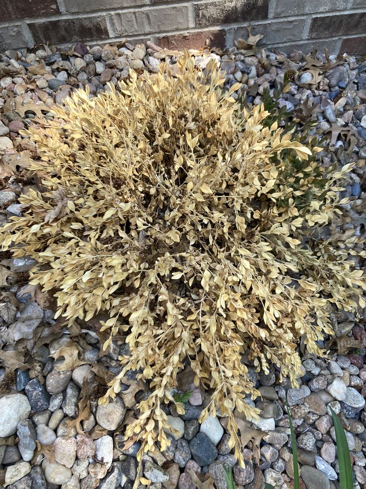 LINCOLN LANDSCAPING Updated September 2024 12 Photos 3311 S 6th