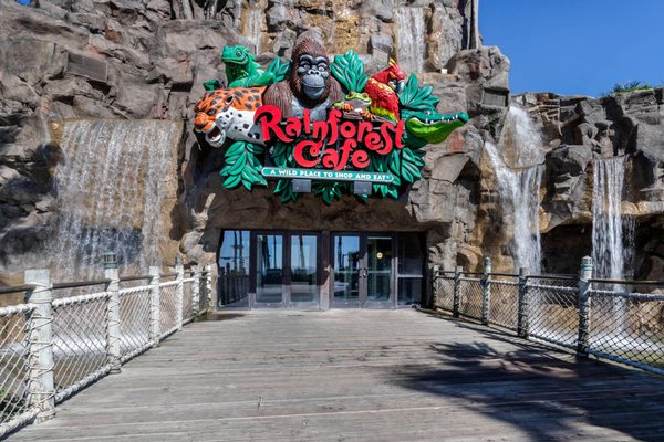 Rainforest Cafe by null