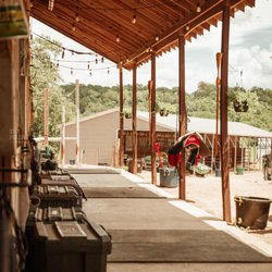 Riding Club of Austin - Horseback riding boarding and lesson barn in Austin, TX