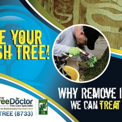 The Tree Doctor