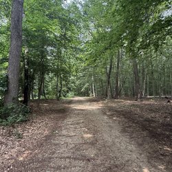 Chapman State Park - Walking into Chapman State Park