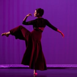 Spectrum Dance Theater - Spectrum Dance School