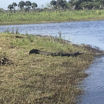 Capt Duke's Airboat Rides - Boat Tours Near Me - Christmas, Florida