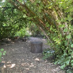 Nearby Nature - Hazelnut Hollow was the home base for the Tree Frog group