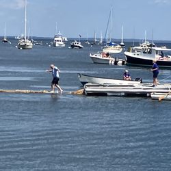 Maine Lobster Festival