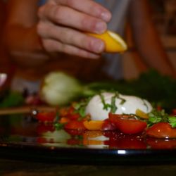 Fuse Dining Concepts