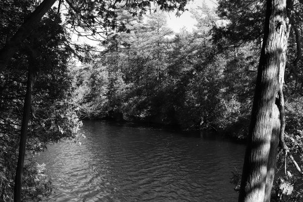 Rockwood Conservation Area by null