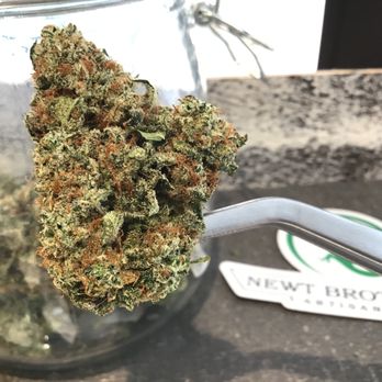 GoodPeople - Space Force OG - Cannabis Clinics Near Me - Basalt, Colorado