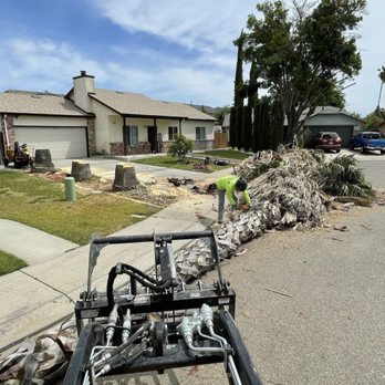 The Tree Guys LLC - Tree Services Near Me