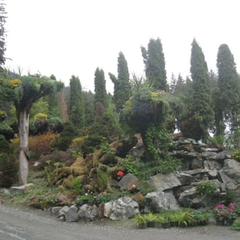 Glacier Gardens Rainforest Adventure - Gardens by Visitor Center - Botanical Gardens Near Me - Juneau, Alaska