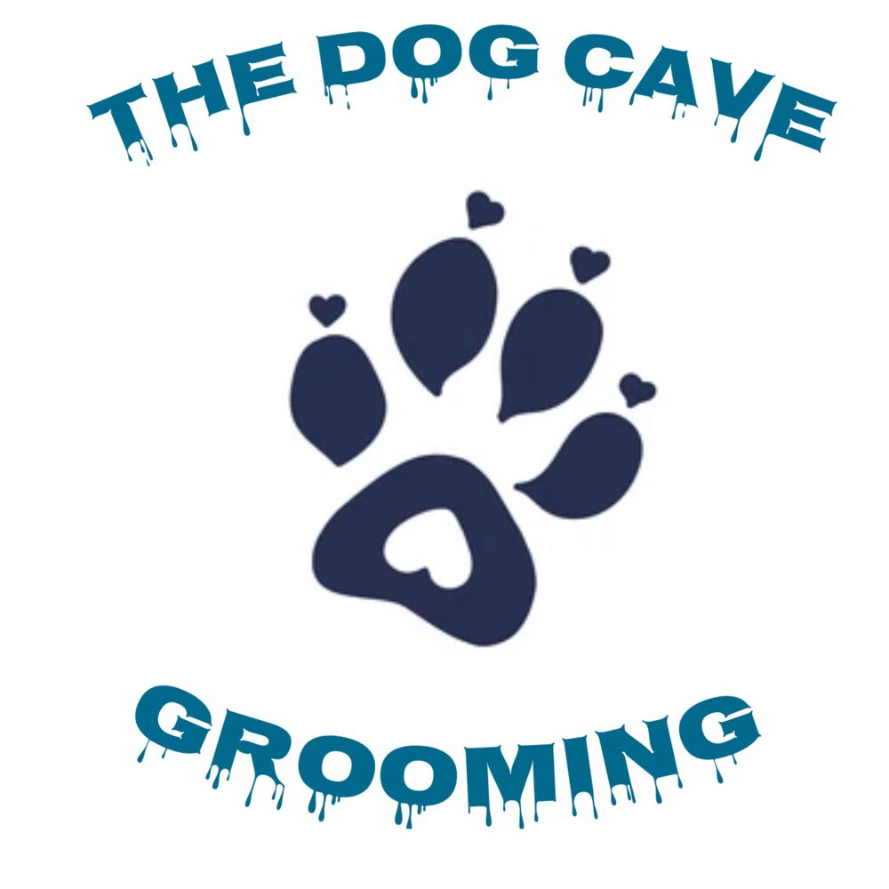 Captivating Dog Groomers Decatur Il Background in 4K Captivating Dog Groomers Decatur Il Background in 4K