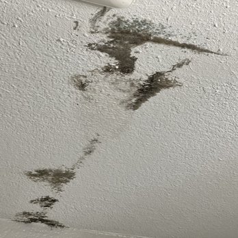 The Summit Apartment Homes - Mold in bathroom ceiling - Apartments Near Me - Redmond, Washington The Summit Apartment Homes - Mold in bathroom ceiling - Apartments Near Me - Redmond, Washington