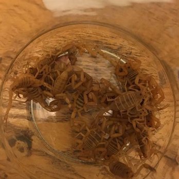 Avanti Residential - These were all found in one night outside ONE of the buildings. About 30 are in here - Apartments Near Me - Phoenix, Arizona Avanti Residential - These were all found in one night outside ONE of the buildings. About 30 are in here - Apartments Near Me - Phoenix, Arizona