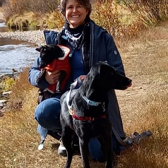 Barking Bonds - Pet Training Near Me