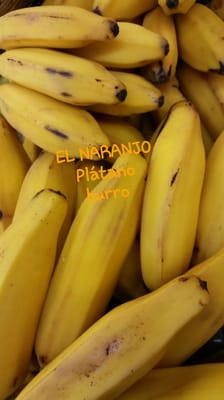 El Naranjo by null
