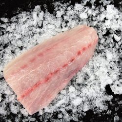 Catalina Offshore Products - Baja White Seabass Wild/MX