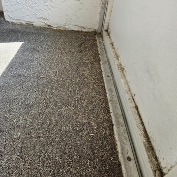 Sea Turtle Home Cleaning - so much for the "deep clean" special. The extra Carpet cleaning add on never showed up. Cannot get in contact with owners. - Home Cleaning Near Me - Bradenton, Florida