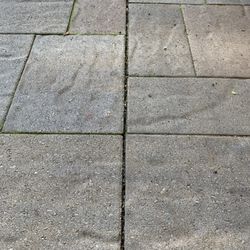 Home Pavers 152 Photos 44 Reviews Masonry Concrete Walnut Creek Ca United States Phone Number
