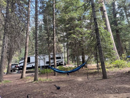 Ponderosa State Park by null