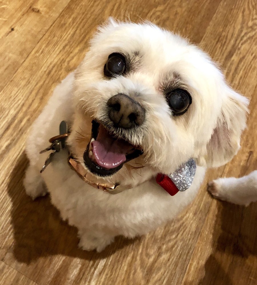 THE NATURAL PET 17 Reviews 500 Muldoon Rd, Anchorage, Alaska Pet