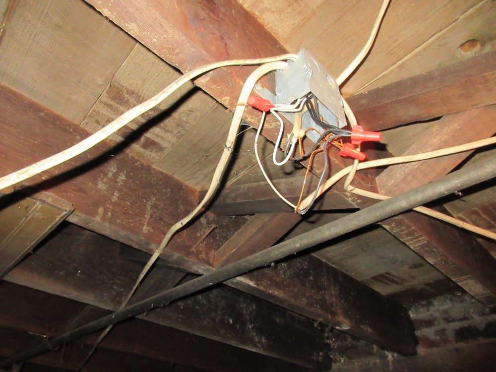 DBI BUILDING INSPECTIONS Updated September 2024 23 Photos Seattle, Washington Home