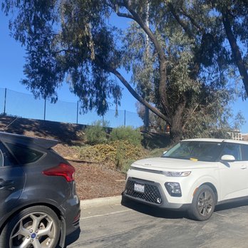 Warren Field - Ticket on dash - Parks Near Me - La Jolla, California