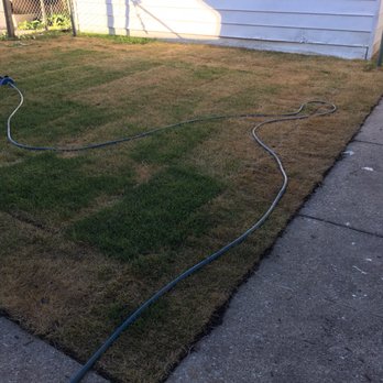 Scully Maintenance - a patch of grass with a hose attached to it - Landscaping Near Me - Chicago, Illinois Scully Maintenance - a patch of grass with a hose attached to it - Landscaping Near Me - Chicago, Illinois