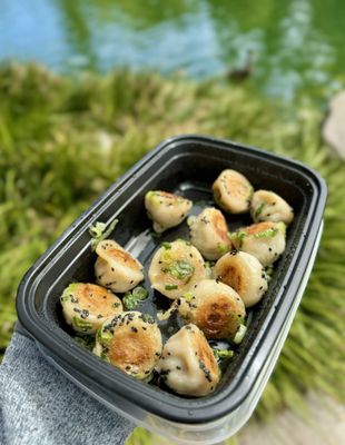Mini Potstickers by null