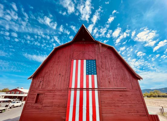 The Pumpkin Patch on Sauvie Island, Portland's original by null