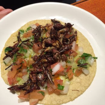 Restaurant Mole Del Rey - Grasshopper Taco - Mexican Near Me - Bell, California Restaurant Mole Del Rey - Grasshopper Taco - Mexican Near Me - Bell, California