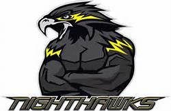 Slide of Nighthawk Services