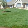 Photo of Ultragreen Hydroseeding & Irrigation