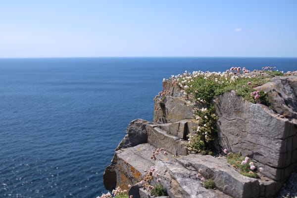 Dún Aonghasa by null