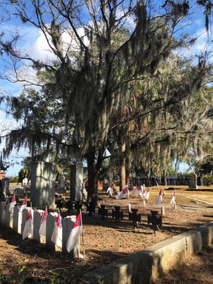 Magnolia Cemetery Trust by null