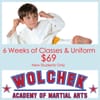 Wolchek Academy of Martial Arts gift card